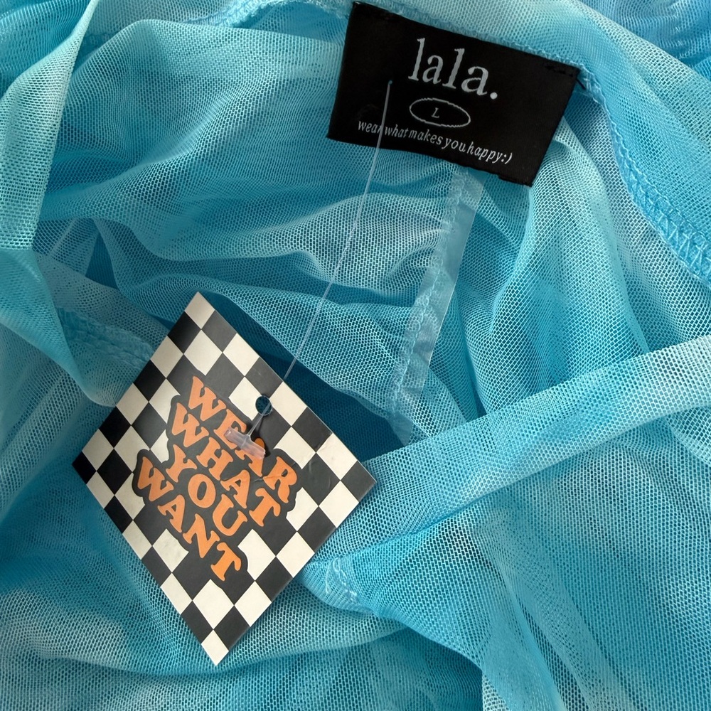 DRESSED IN LALA 
Queen of the World Ruched Mesh Dress + Slip